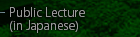 Public Lecture (in Japanese)